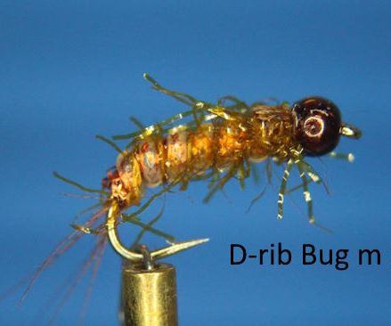 D-rib Bug med kula