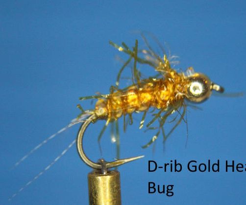 D-rib Gold head Bug