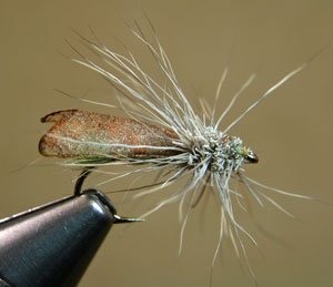 6 D's Web Wing Caddis Size 14 Brookside professionally tied fly flies SIX 